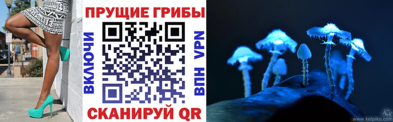 Галлюциногенные грибы Magic Shrooms  хочу наркоту  сайты даркнета формула  Кемь 