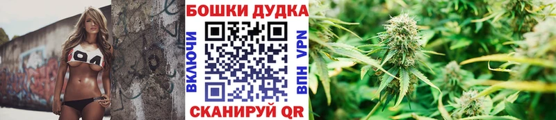 где найти наркотики  Кемь  блэк спрут tor  МАРИХУАНА OG Kush 